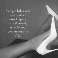 Imagen de WhatsApp 2024-11-18 a las 17.40.17_41462852